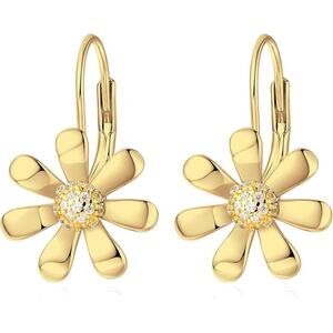 925 Sterling18K White Gold Plated Leverback Drop Dangle Earrings for Women